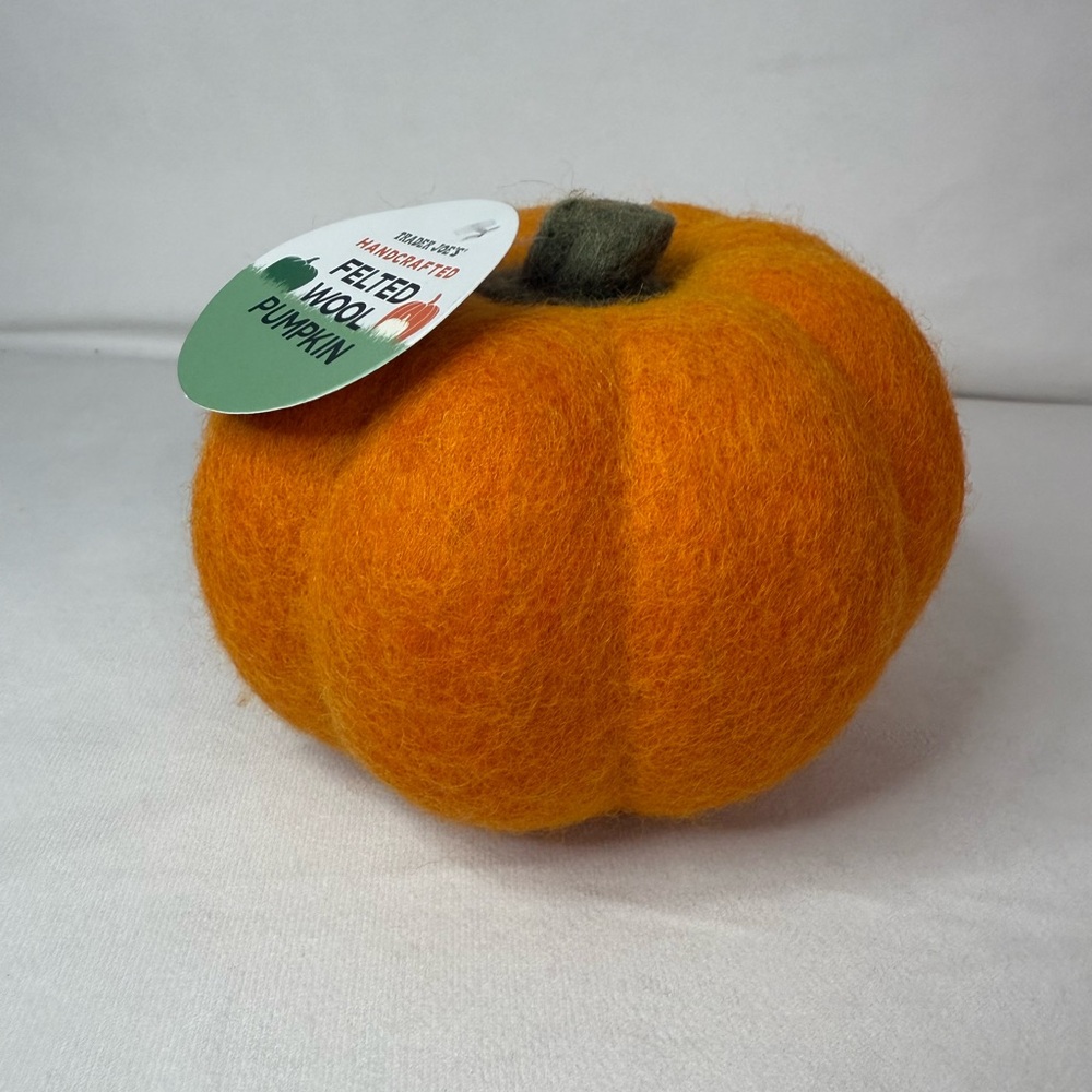Trader Joes Felted Wool Pumpkin